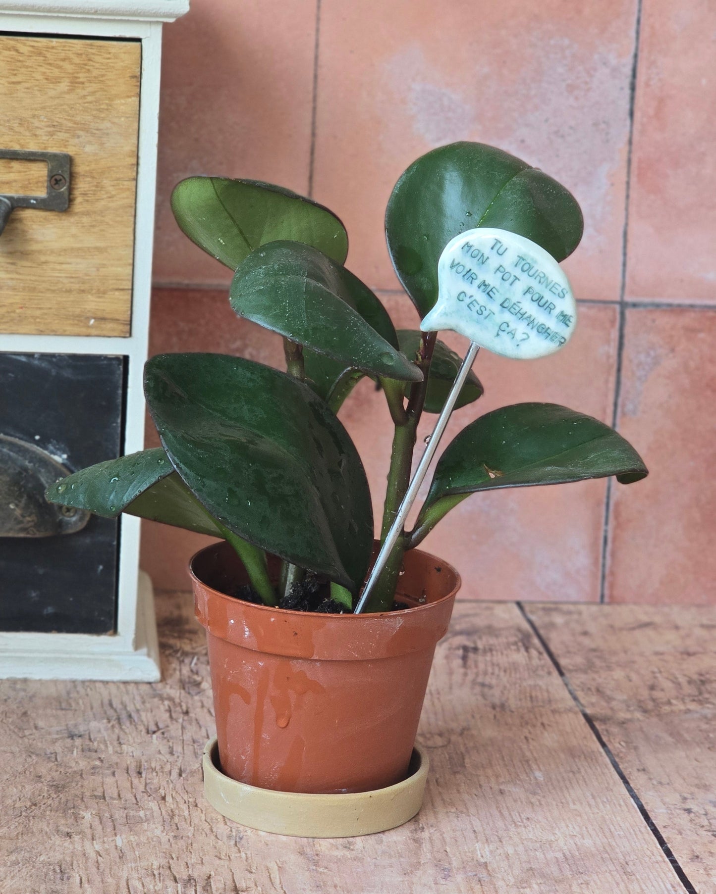 Lot de Décors de plante "Jardinage"