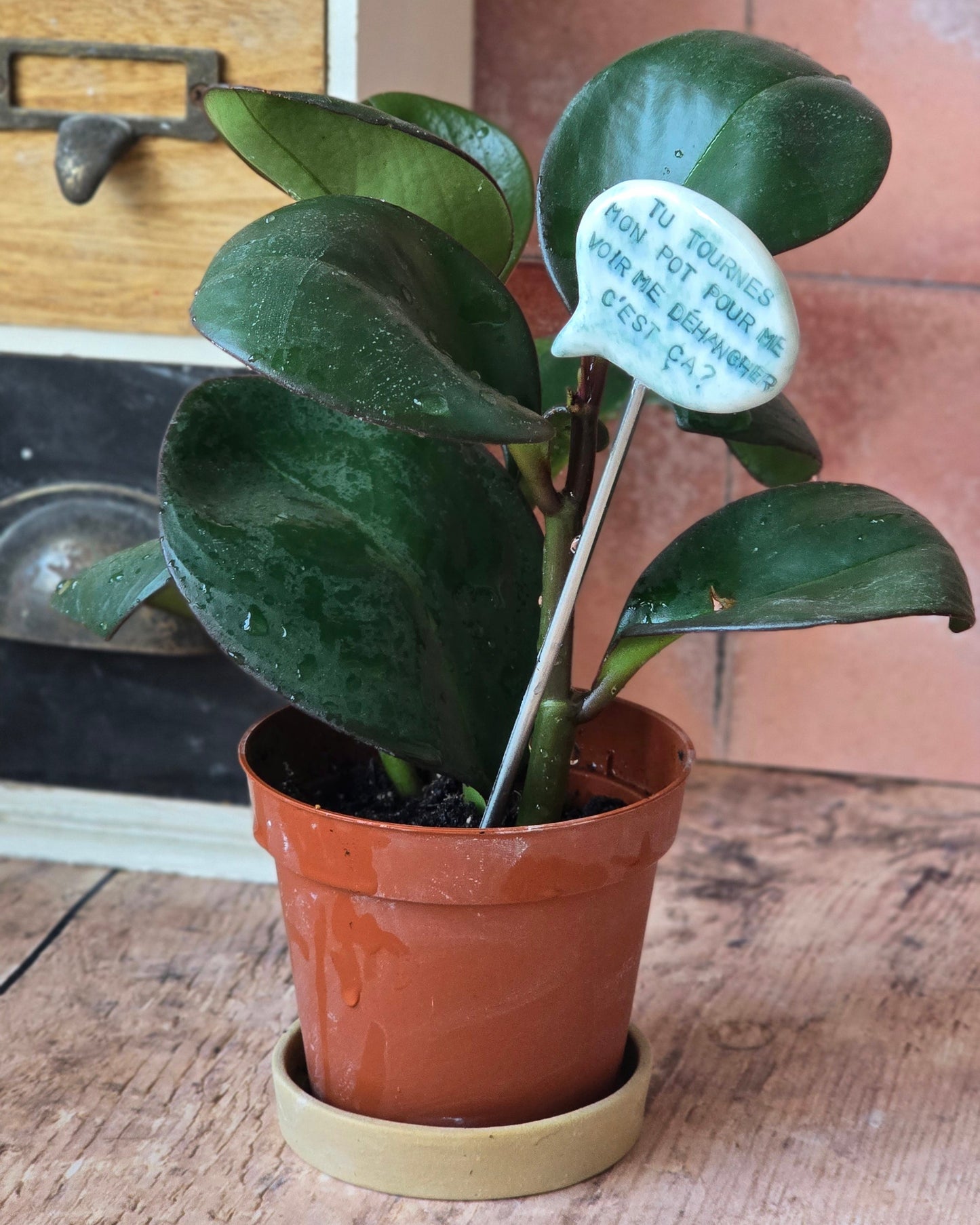 Lot de Décors de plante "Jardinage"