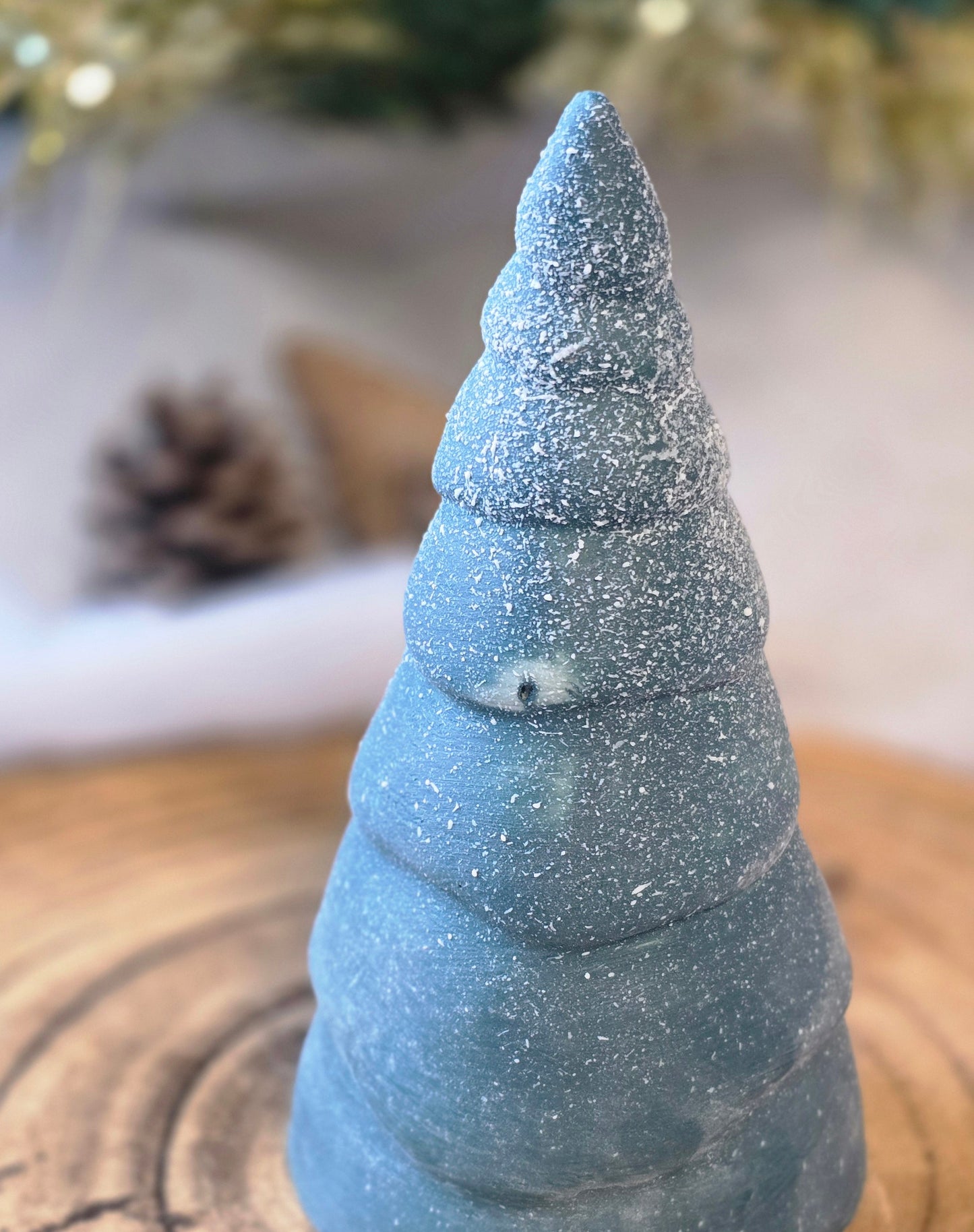 SAPiN ENNEiGÉ iMPARFAiT